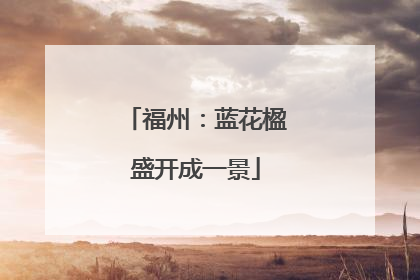福州：蓝花楹盛开成一景