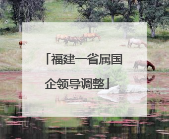 福建一省属国企领导调整