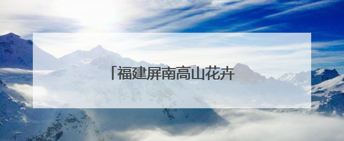 福建屏南高山花卉绽放“致富花”