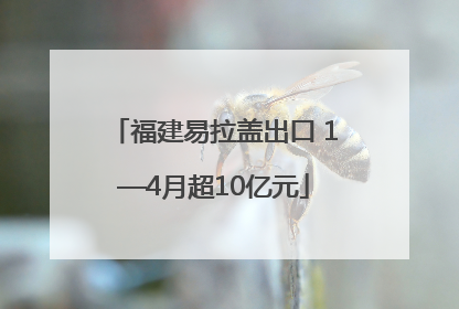 福建易拉盖出口 1—4月超10亿元