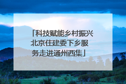 科技赋能乡村振兴 北京住建委下乡服务走进通州西集