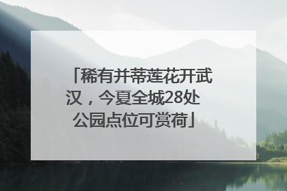 稀有并蒂莲花开武汉，今夏全城28处公园点位可赏荷