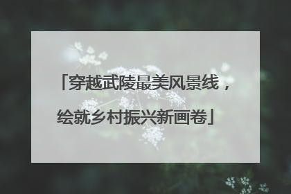 穿越武陵最美风景线，绘就乡村振兴新画卷