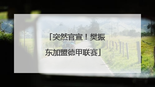 突然官宣！樊振东加盟德甲联赛