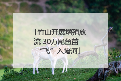 竹山开展增殖放流 30万尾鱼苗“飞”入堵河