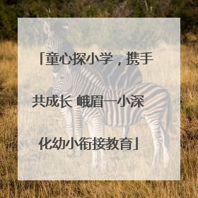 童心探小学，携手共成长 峨眉一小深化幼小衔接教育
