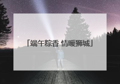端午粽香 情暖狮城