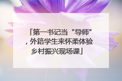 第一书记当“导师”，外籍学生来怀柔体验乡村振兴现场课