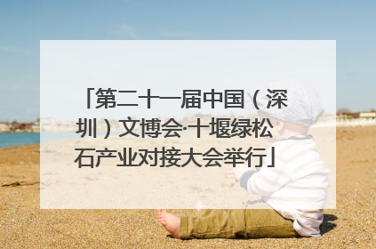 第二十一届中国（深圳）文博会·十堰绿松石产业对接大会举行