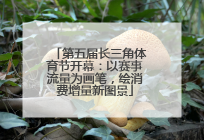 第五届长三角体育节开幕：以赛事流量为画笔，绘消费增量新图景