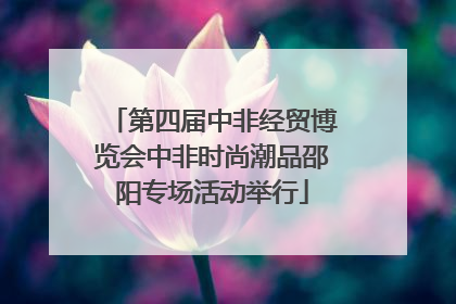 第四届中非经贸博览会中非时尚潮品邵阳专场活动举行