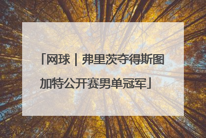 网球｜弗里茨夺得斯图加特公开赛男单冠军