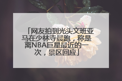 网友拍到光头文班亚马在少林寺晨跑，称是离NBA巨星最近的一次，景区回应