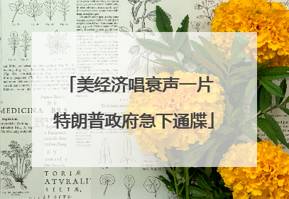 美经济唱衰声一片 特朗普政府急下通牒
