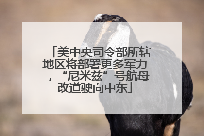 美中央司令部所辖地区将部署更多军力，“尼米兹”号航母改道驶向中东