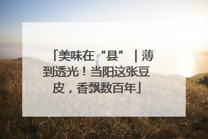 美味在“县”｜薄到透光！当阳这张豆皮，香飘数百年