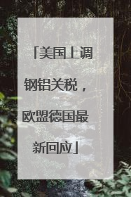 美国上调钢铝关税，欧盟德国最新回应