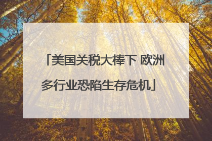 美国关税大棒下 欧洲多行业恐陷生存危机