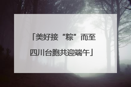 美好接“粽”而至 四川台胞共迎端午