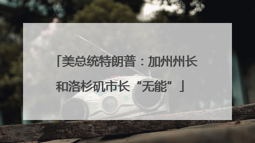美总统特朗普：加州州长和洛杉矶市长“无能”