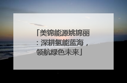 美锦能源姚锦丽：深耕氢能蓝海，领航绿色未来