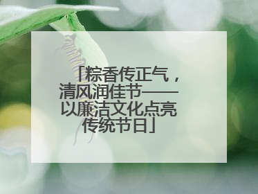 粽香传正气，清风润佳节——以廉洁文化点亮传统节日