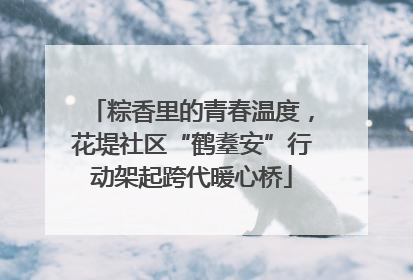 粽香里的青春温度，花堤社区“鹤耋安”行动架起跨代暖心桥