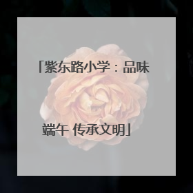 紫东路小学：品味端午 传承文明