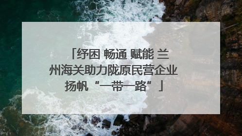 纾困 畅通 赋能 兰州海关助力陇原民营企业扬帆“一带一路”