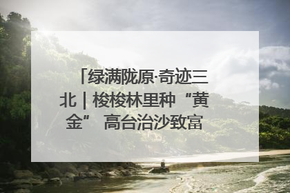 绿满陇原·奇迹三北｜梭梭林里种“黄金” 高台治沙致富很“从容”