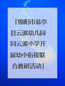 绵阳市盐亭县云溪幼儿园同云溪小学开展幼小衔接联合教研活动