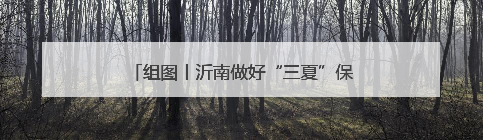 组图丨沂南做好“三夏”保障工作 确保小麦颗粒归仓