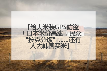 给大米装GPS防盗！日本米价高涨，民众“按克分饭”……还有人去韩国买米