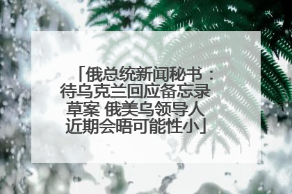 俄总统新闻秘书：待乌克兰回应备忘录草案 俄美乌领导人近期会晤可能性小