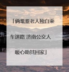 俩耄耋老人独自乘车迷路 济南公交人暖心助其回家