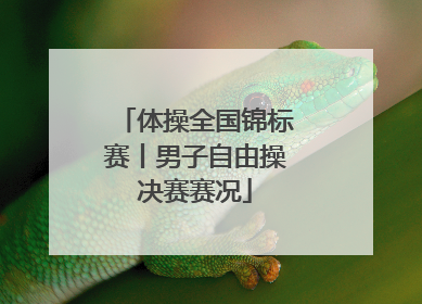 体操全国锦标赛丨男子自由操决赛赛况