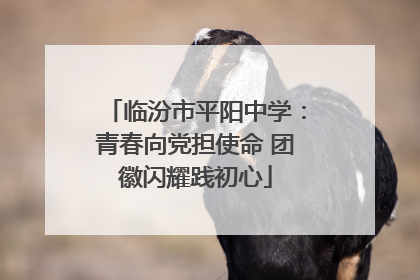 临汾市平阳中学：青春向党担使命 团徽闪耀践初心