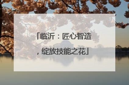 临沂：匠心智造，绽放技能之花