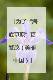 为了“海底草原”更繁茂（美丽中国）