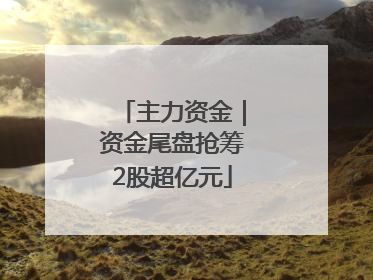 主力资金｜资金尾盘抢筹2股超亿元
