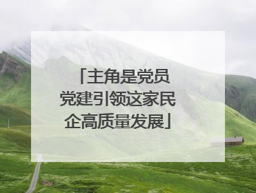 主角是党员 党建引领这家民企高质量发展