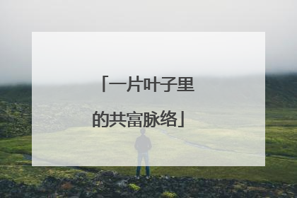 一片叶子里的共富脉络