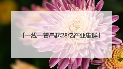 一线一管串起28亿产业集群