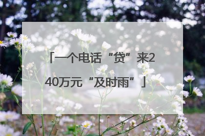 一个电话“贷”来240万元“及时雨”