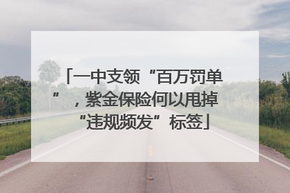 一中支领“百万罚单”，紫金保险何以甩掉“违规频发”标签