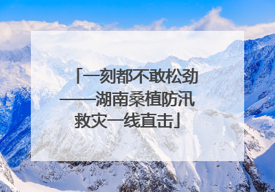 一刻都不敢松劲——湖南桑植防汛救灾一线直击