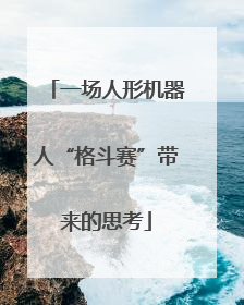 一场人形机器人“格斗赛”带来的思考