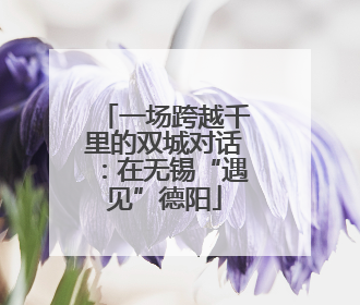 一场跨越千里的双城对话：在无锡“遇见”德阳