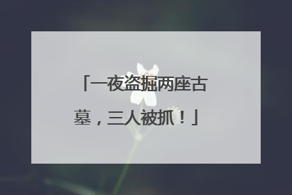 一夜盗掘两座古墓，三人被抓！