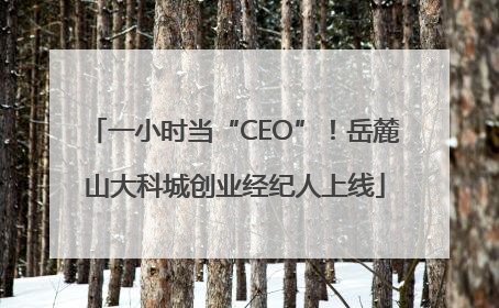 一小时当“CEO”！岳麓山大科城创业经纪人上线
